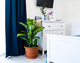 Baltic Home - 17